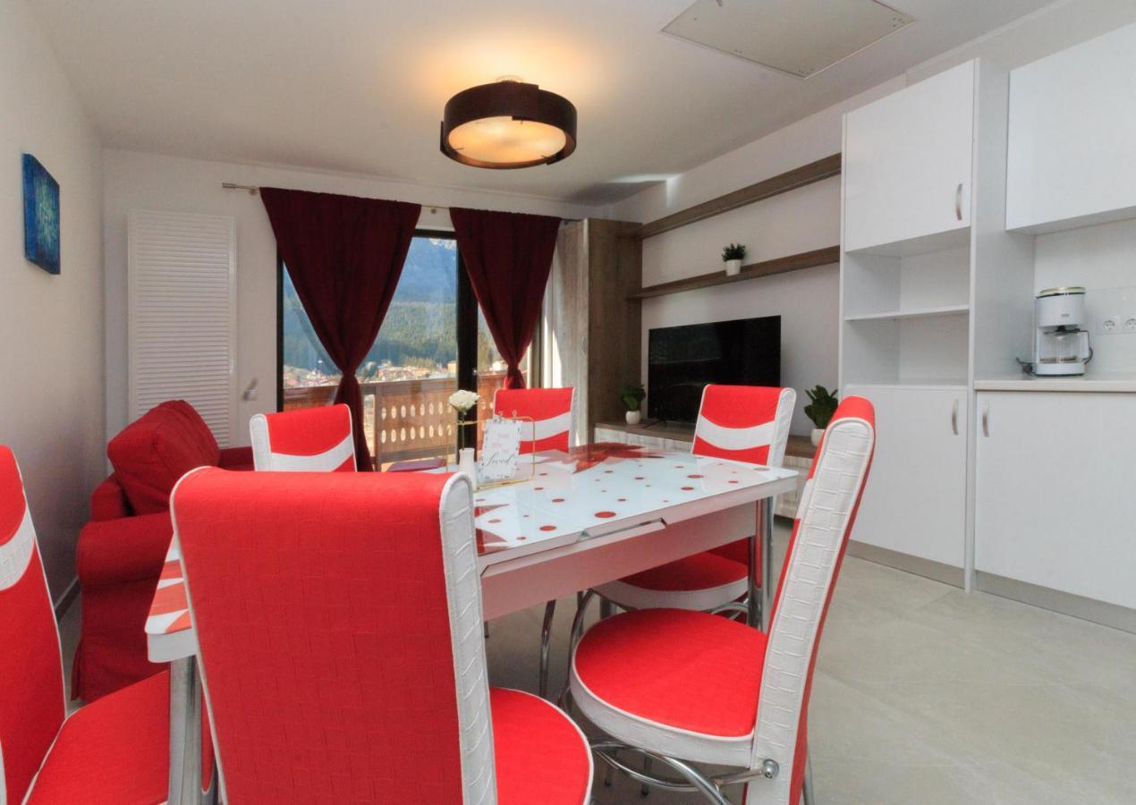 Stars & Mountain Apartment Busteni Ngoại thất bức ảnh