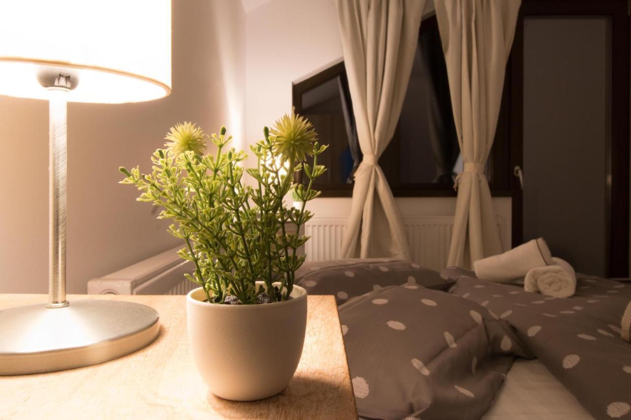 Stars & Mountain Apartment Busteni Ngoại thất bức ảnh