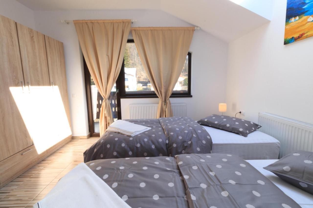 Stars & Mountain Apartment Busteni Ngoại thất bức ảnh
